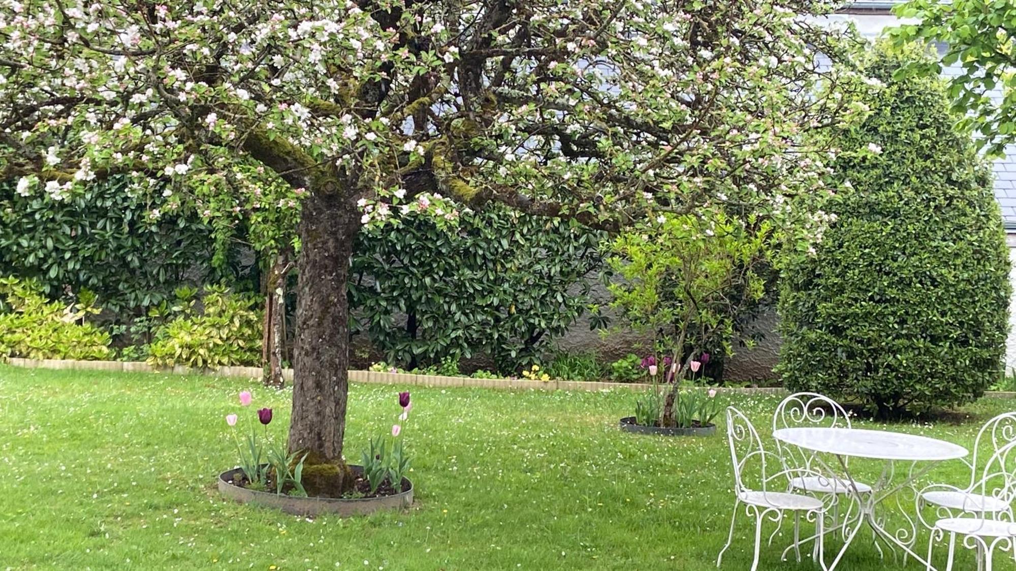 Hotel Le Hameau Du Moulin A Vent Saint-Avertin Exteriér fotografie